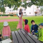 phoca_thumb_m_veverky 2.skup  10 Fotogalerie